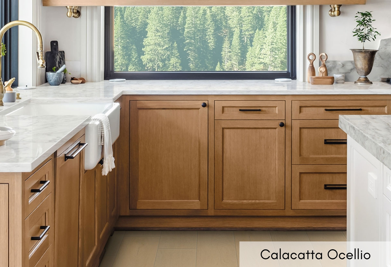 Calacatta Ocellio